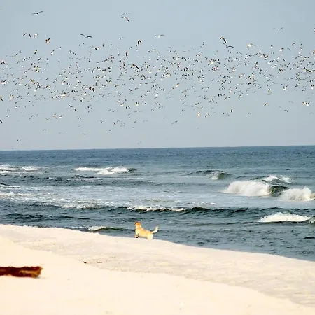 Neuklosterhof App. 18 Lägenhet *